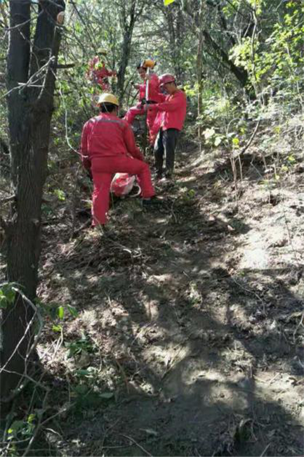 ������(btt)����-918������,���������