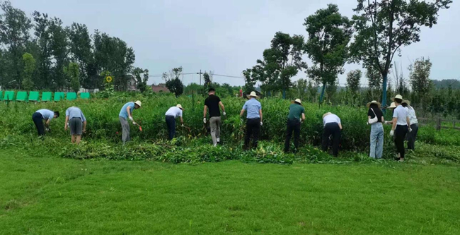 ������(btt)����-918������,���������