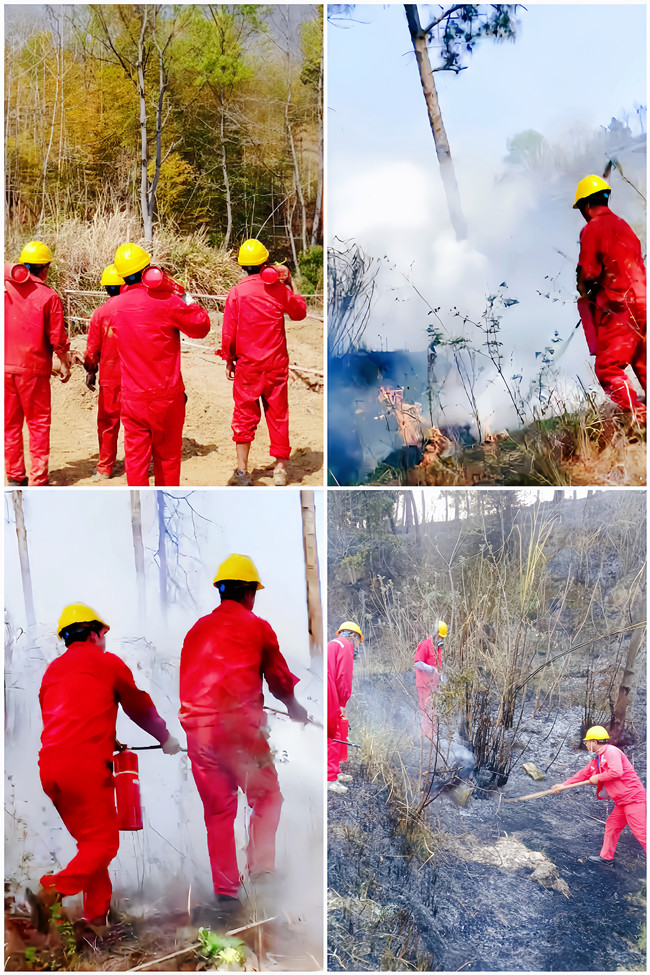 ������(btt)����-918������,���������